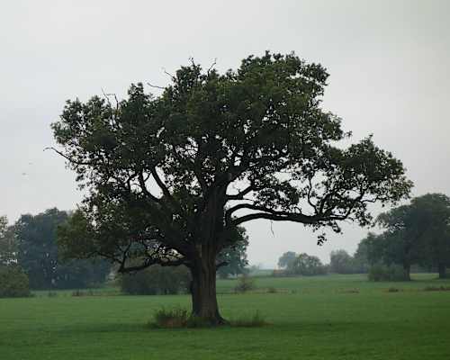 Pilgerweg Berlin-Bad Wilsnack Landschaft Christine Thürmer