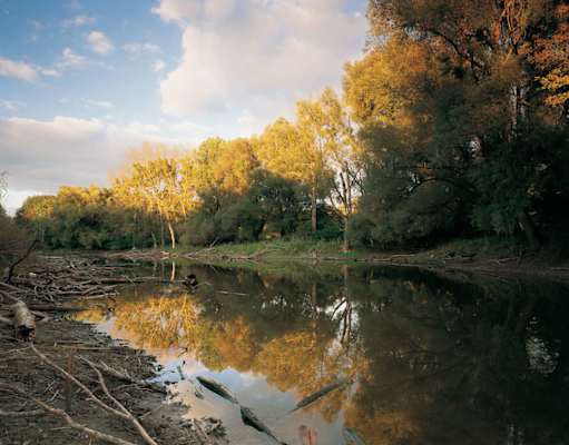 Donau-Seitenarm im Herbst