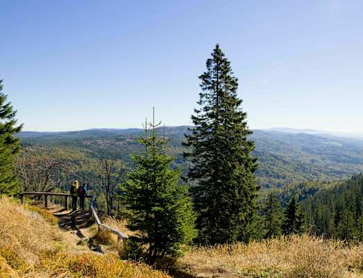Wandern im Nationalpark Bayerischer Wald