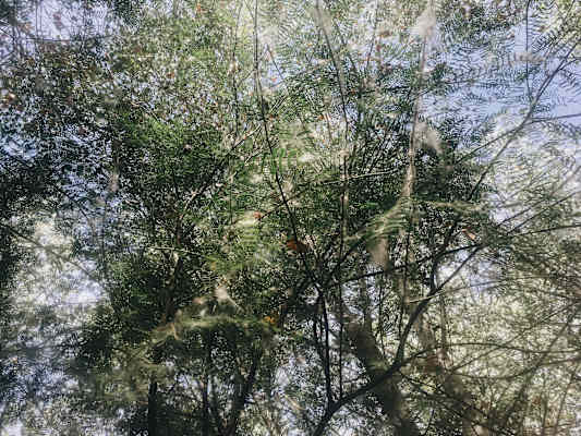 Ana Zirner Colorado River