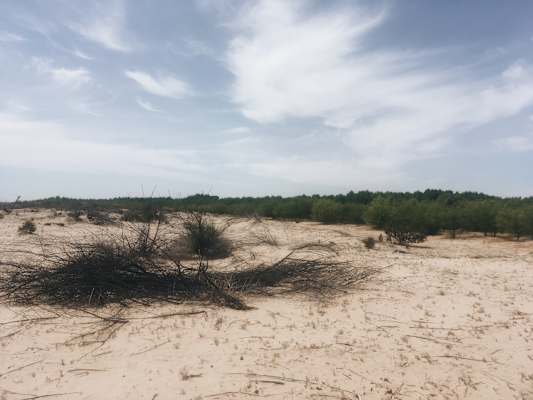 Ana Zirner Colorado River