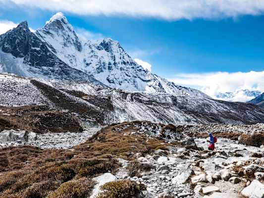 Sanddornbüsche in Nepal