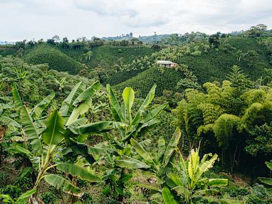 San Agustín Kolumbien