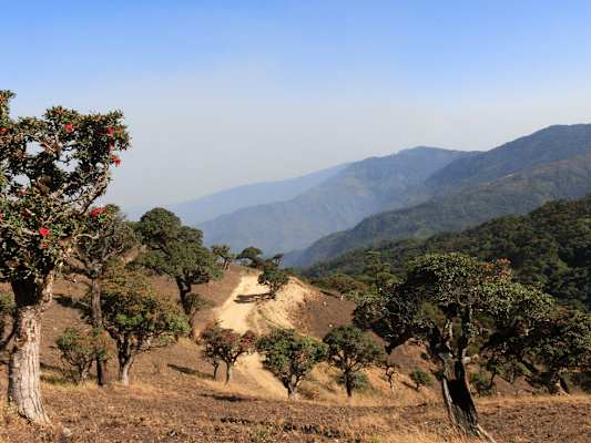 Myanmar Wandern Mt. Victoria