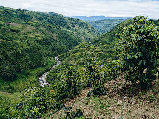 San Agustín Kolumbien