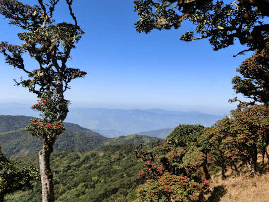 Myanmar Wandern Mt. Victoria