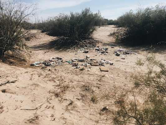 Ana Zirner Colorado River