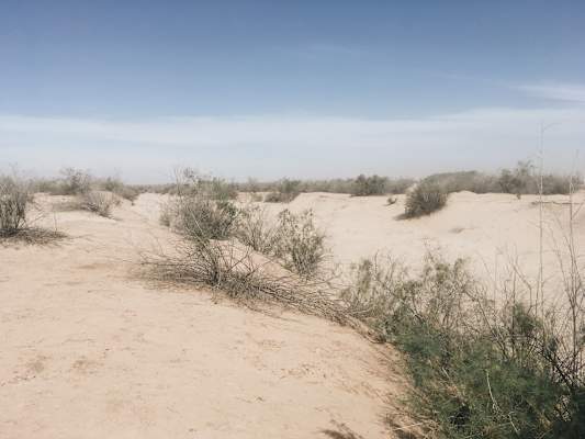 Ana Zirner Colorado River