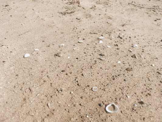 Ana Zirner Colorado River