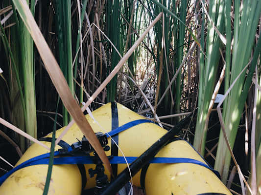 Ana Zirner Colorado River