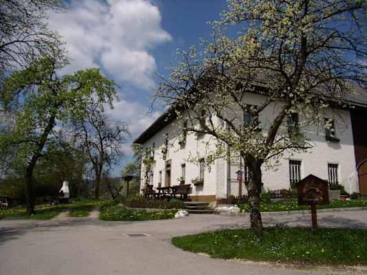 Bergsteigerdorf Steinbach am Attersee