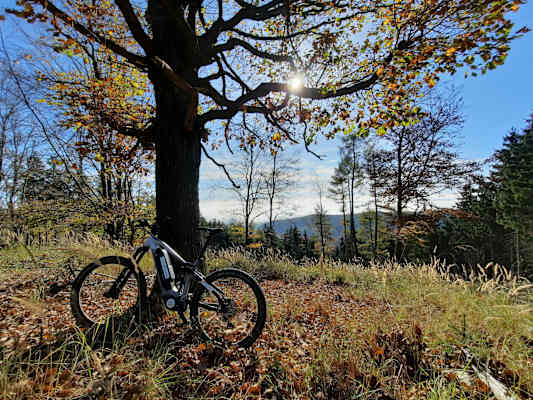 Herbstgenuss: Unterwegs am Batthyány Trail