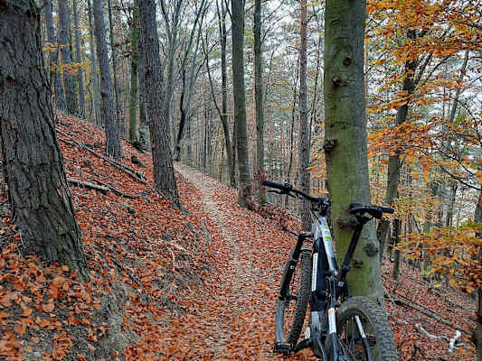 Unterwegs am Batthyány Trail