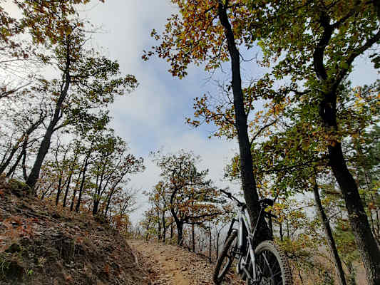 Zurück zur „Ranch“: Am Uphill Trail geht es, wie der Name schon sagt, ordentlich steil bergauf