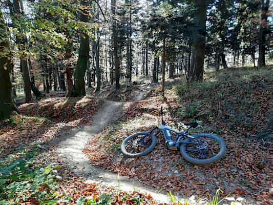 Wellen, Sprünge, Rinnen: Das Trailfahren hier macht richtig Spaß