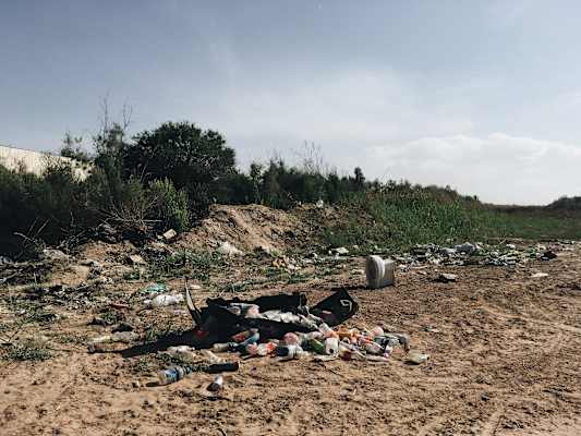 Ana Zirner Colorado River