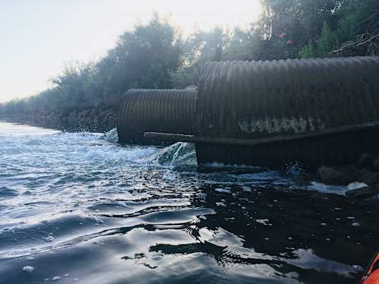 Ana Zirner Colorado River