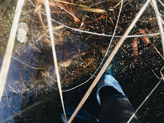 Ana Zirner Colorado River