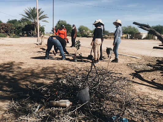 Ana Zirner Colorado River