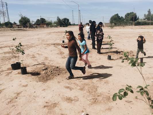 Ana Zirner Colorado River