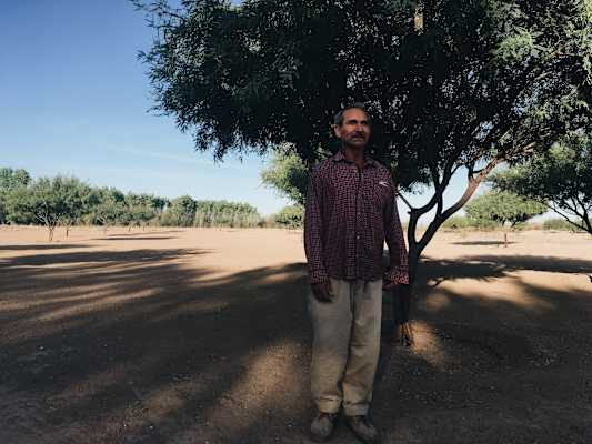 Ana Zirner Colorado River