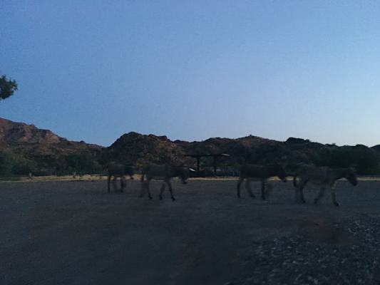 Ana Zirner Colorado River