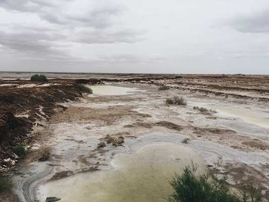 Ana Zirner Colorado River