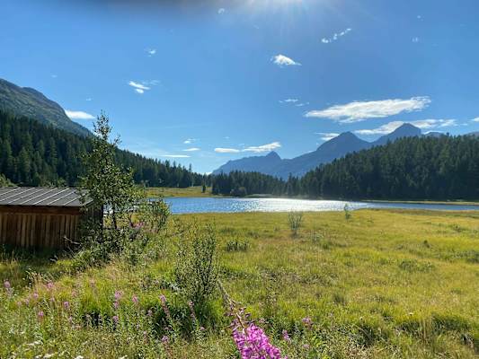 E-Biken Corviglia Engadin