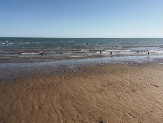 Ana Zirner Colorado River