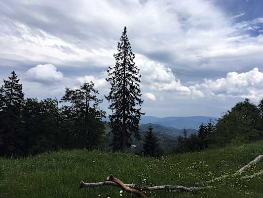 Pilgern Wien Mariazell