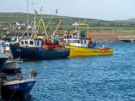 Fischerhafen von Portmagee