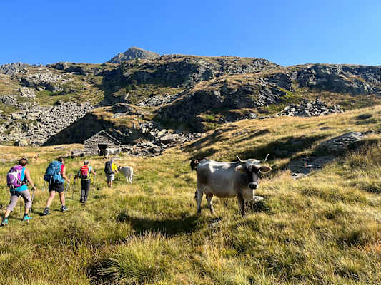 Unterwegs auf der 6. Etappe der westlichen Variante der Via Alta Vallemaggia