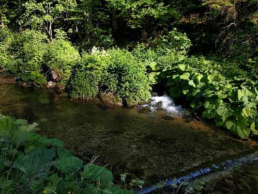 Pilgern Wien Mariazell