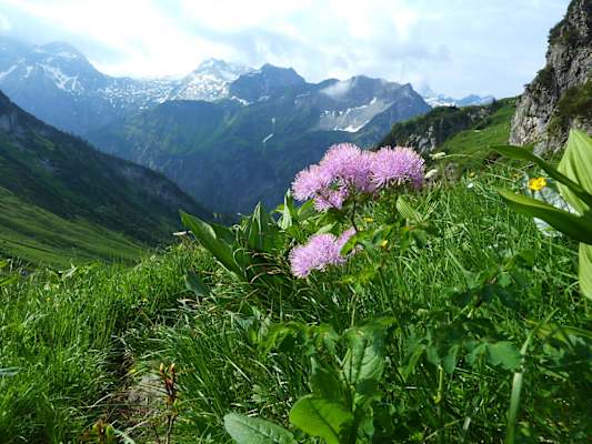 Großes Walsertal Bergsteigerdorf