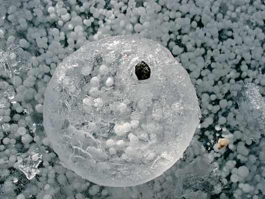 Eis.Leben: Forschungsreise in der Antarktis