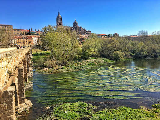 Salamanca mit seiner Römerbrücke