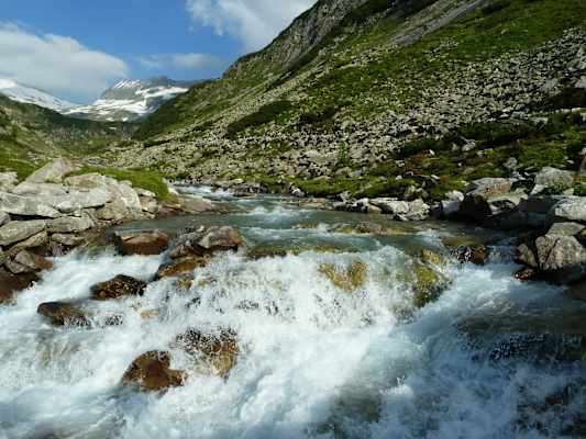 Der Wasserreichtum des Nationalparks Hohe Tauern ist beeindruckend.