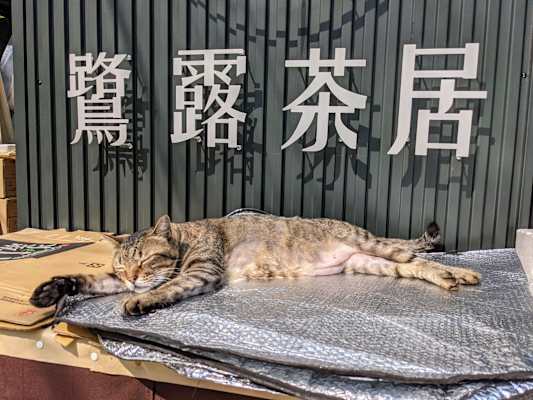 Taiwan Yushan Wandern