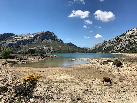 Wandern Mallorca
