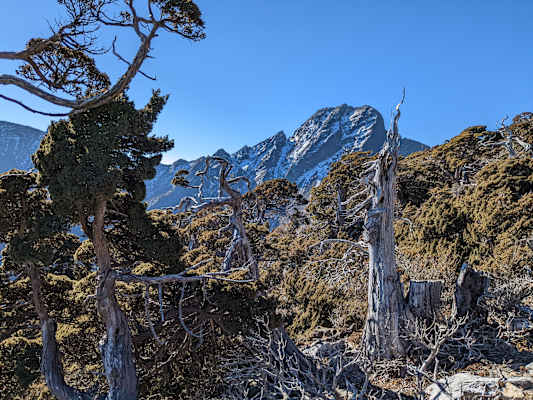 Taiwan Yushan Wandern