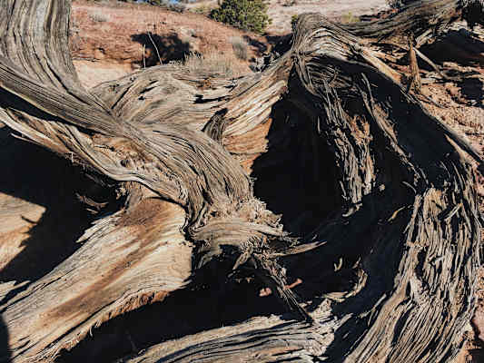 Ana Zirner Colorado River