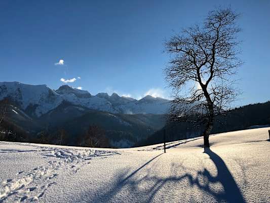 Beim Winterwandern kann man die idyllische, ruhige Winterlandschaft in vollen Zügen genießen.