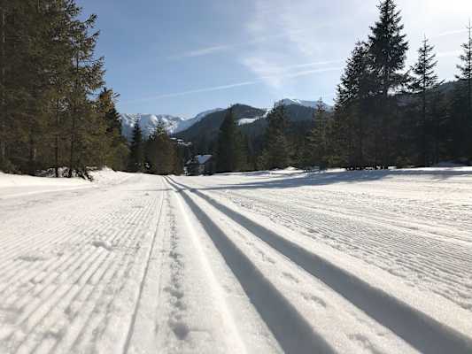 Auch Langlaufen ist rund um Steinbach am Rofan möglich.