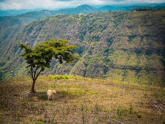 Reisestory Ecuador Intag Valley
