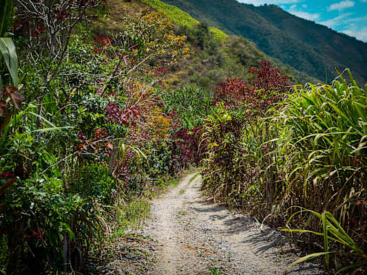 Reisestory Ecuador Intag Valley