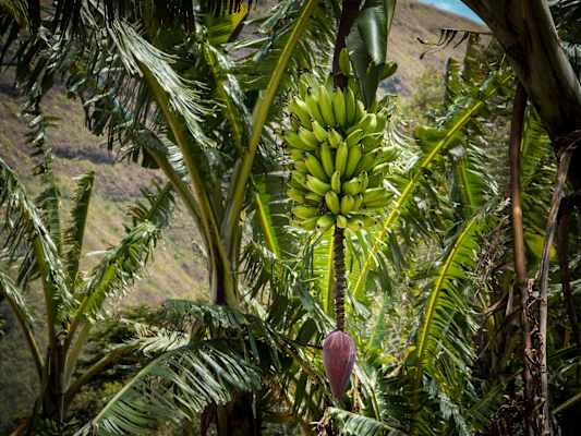 Reisestory Ecuador Intag Valley