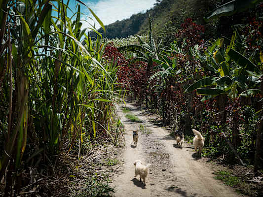 Reisestory Ecuador Intag Valley
