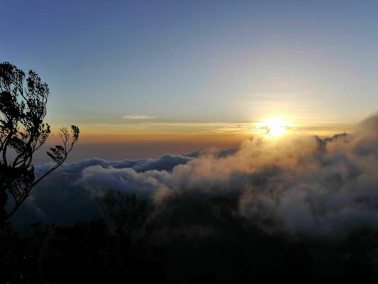 Blue Mountain Peak Jamaika