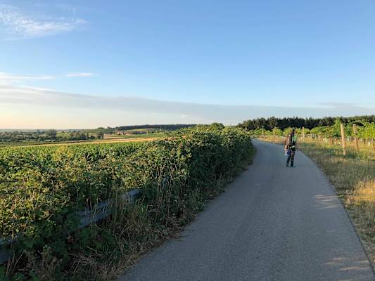 Burgenland Extrem Sommer 2021