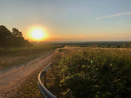 Burgenland Extrem Sommer 2021